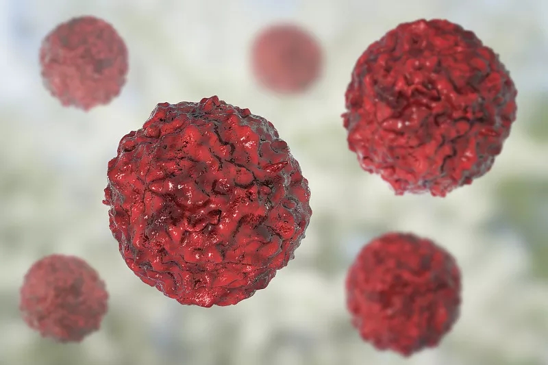 臍帶間充質(zhì)干細胞的生物學(xué)特點(diǎn)? 臍帶間充質(zhì)干細胞的生物學(xué)特點(diǎn)?