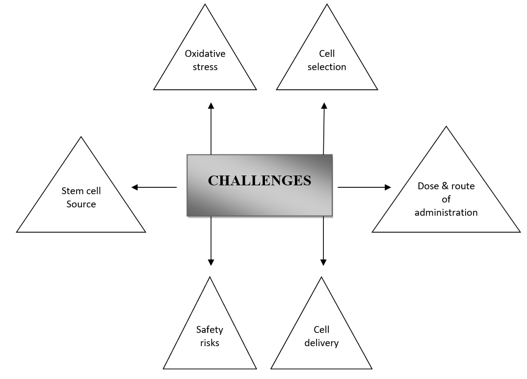 圖2：干細胞治療糖尿病腎病過(guò)程中的挑戰
