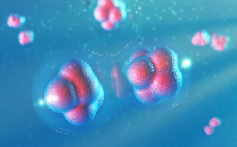 干細胞療法是腦癱患者的新救星嗎