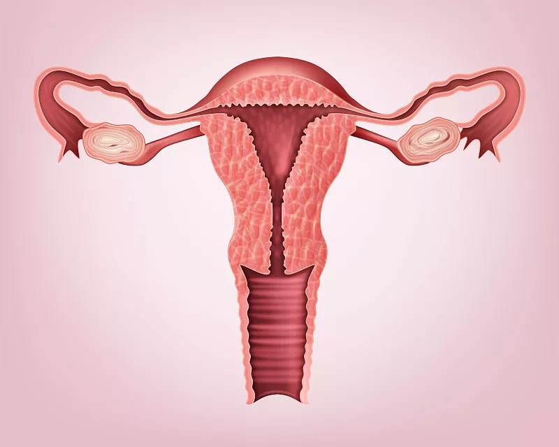 廣州醫科大學(xué)第三附屬醫院：干細胞移植治療卵巢早衰的臨床分析