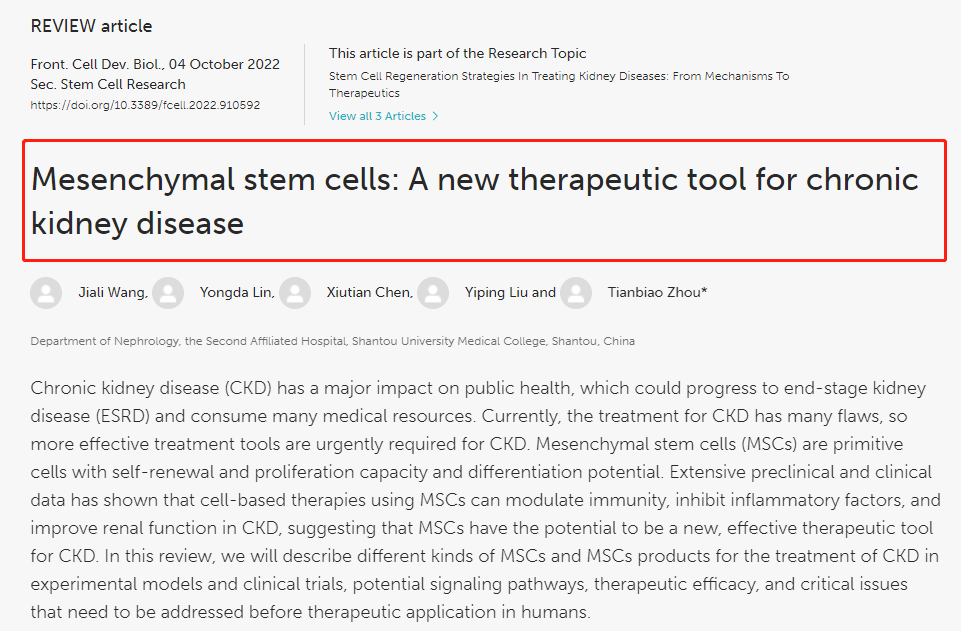 間充質(zhì)干細胞治療慢性腎病的文獻綜述