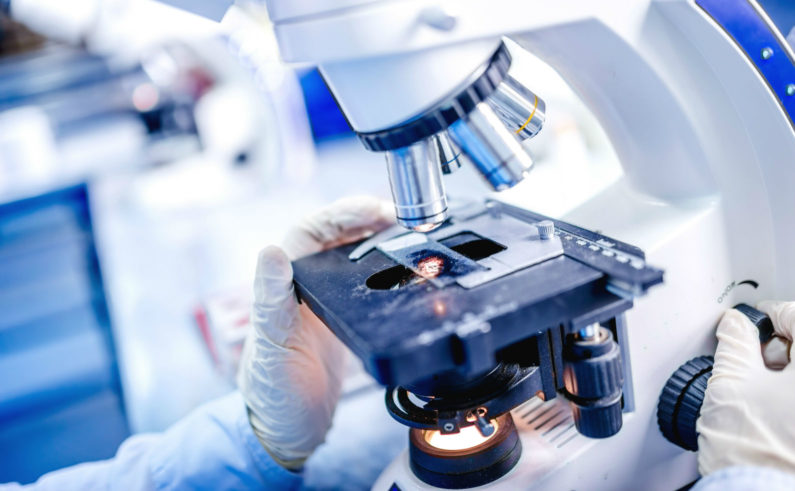 關(guān)于干細胞的臨床試驗細節有哪些？