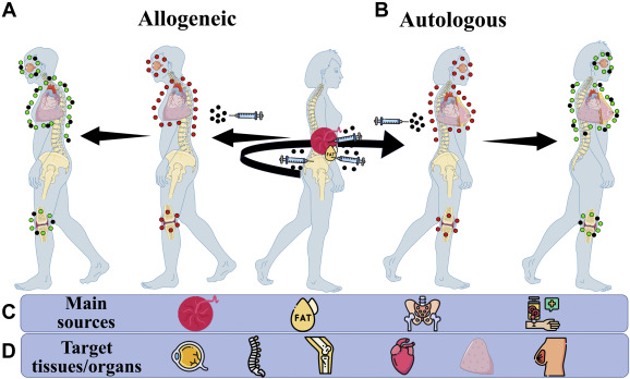 圖1：用藥用信號細胞 (MSC) 治療