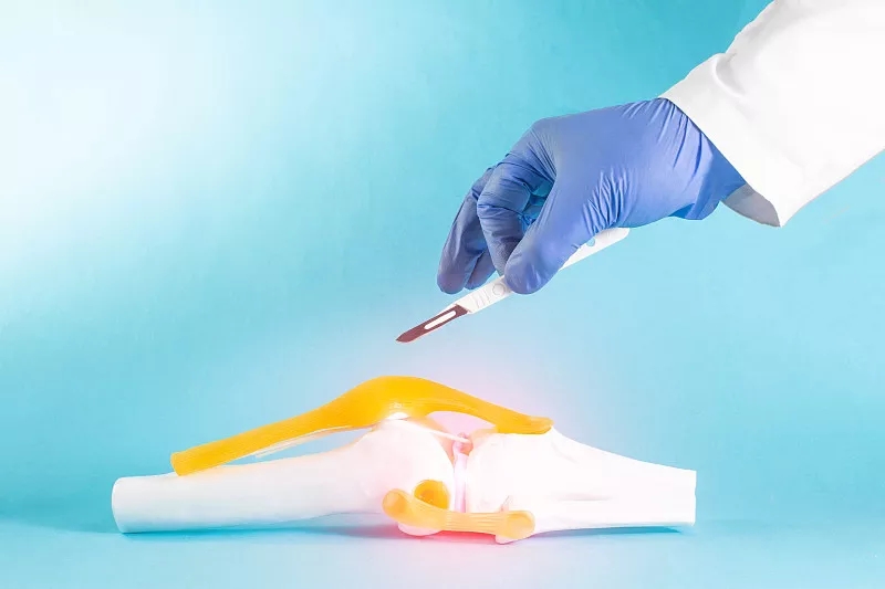 間充質(zhì)干細胞在人類(lèi)半月板修復中的潛在用途：當前見(jiàn)解