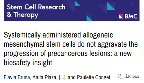 系統性施用同種異體間充質(zhì)干細胞不會(huì )加劇癌前病變的進(jìn)展：新的生物安全見(jiàn)解