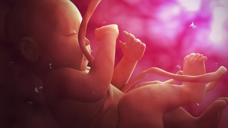 臍帶間充質(zhì)干細胞的作用和功效是什么？在哪些疾病具有臨床應用價(jià)值？