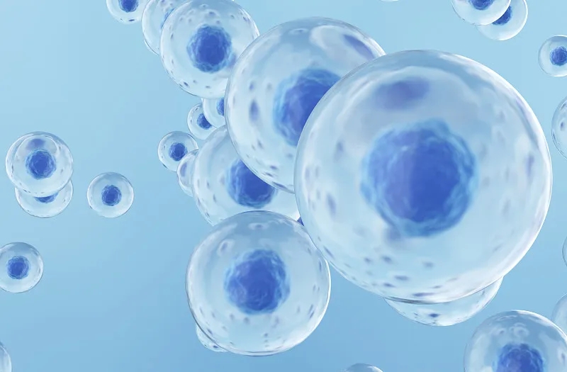 細胞治療不孕癥的程序是什么 細胞治療不孕癥的程序是什么