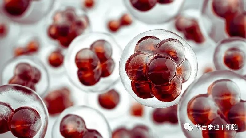 手足徐動(dòng)性腦癱的最新治療方法是什么？