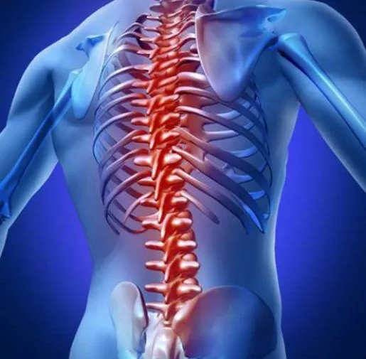 什么是脊髓損傷？