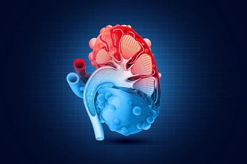 間充質(zhì)干細胞治療腎臟疾病克服這四大挑戰丨將迎來(lái)新的曙光 間充質(zhì)干細胞治療腎臟疾病克服這四大挑戰丨將迎來(lái)新的曙光