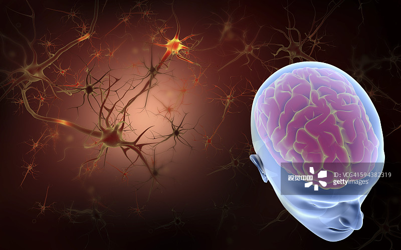 干細胞療法與神經(jīng)系統疾病的概述（2023）