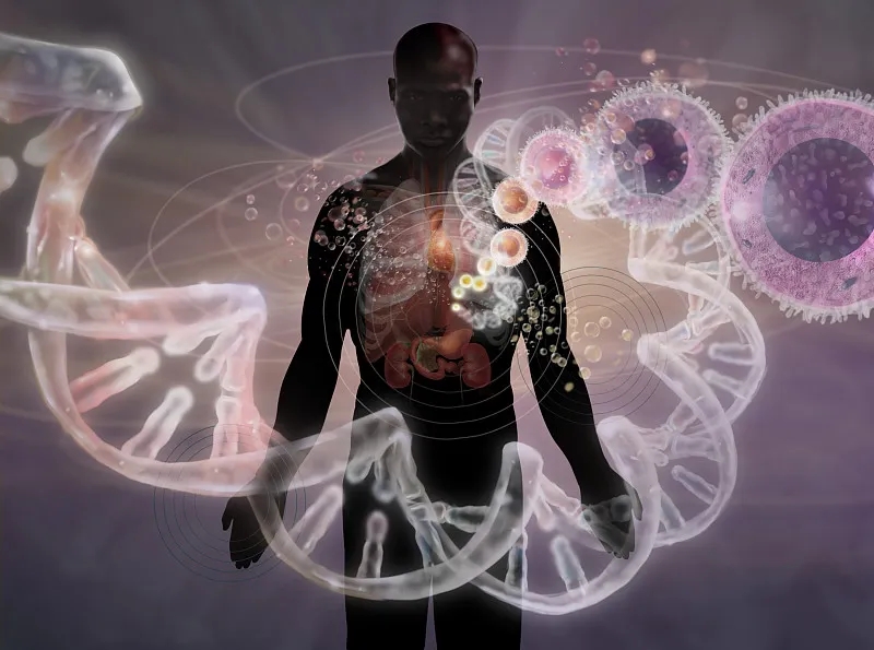 干細胞療法治療急性和慢性創(chuàng )傷性腦損傷的臨床研究回顧 干細胞療法治療急性和慢性創(chuàng )傷性腦損傷的臨床研究回顧