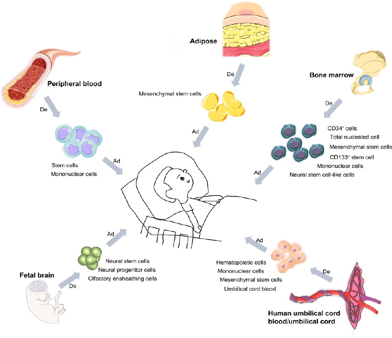 圖1：用于治療腦癱的干細胞類(lèi)型