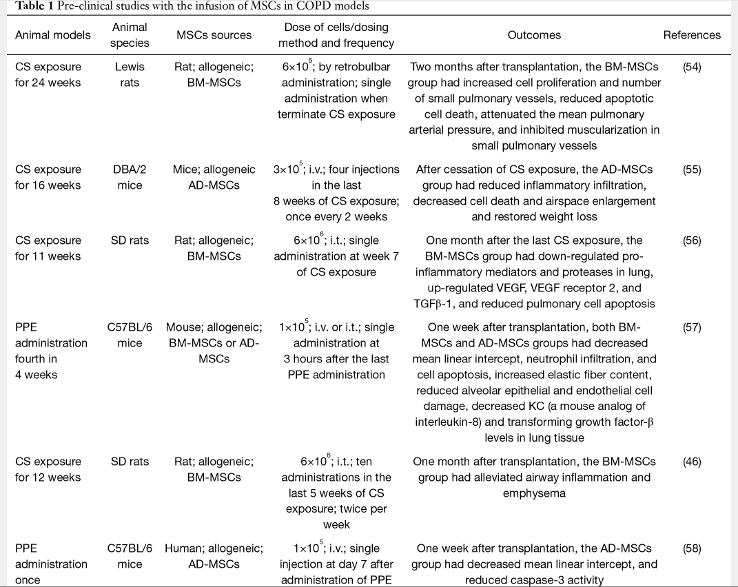 表1：在COPD模型中輸注間充質(zhì)干細胞的臨床前研究