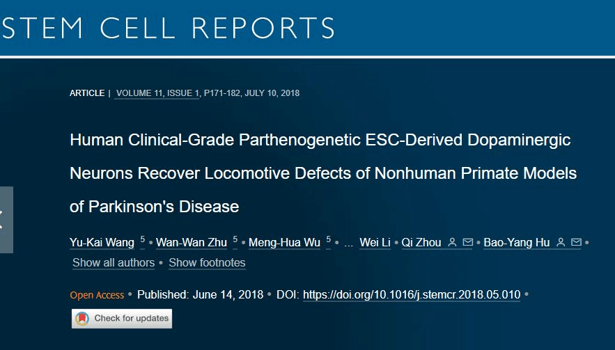 人類(lèi)臨床級孤雌生殖 ESC 衍生的多巴胺能神經(jīng)元可恢復非人類(lèi)靈長(cháng)類(lèi)動(dòng)物帕金森病模型的運動(dòng)缺陷 人類(lèi)臨床級孤雌生殖 ESC 衍生的多巴胺能神經(jīng)元可恢復非人類(lèi)靈長(cháng)類(lèi)動(dòng)物帕金森病模型的運動(dòng)缺陷