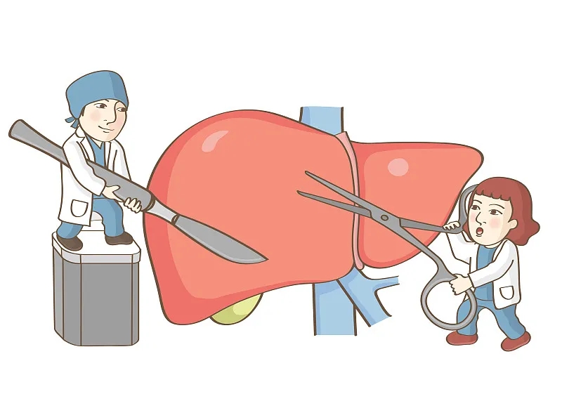 關(guān)于肝移植的事實(shí)