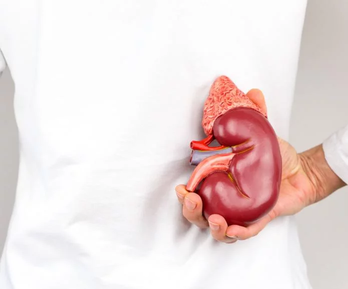 慢性腎臟病的第一階段：原因、癥狀和治療