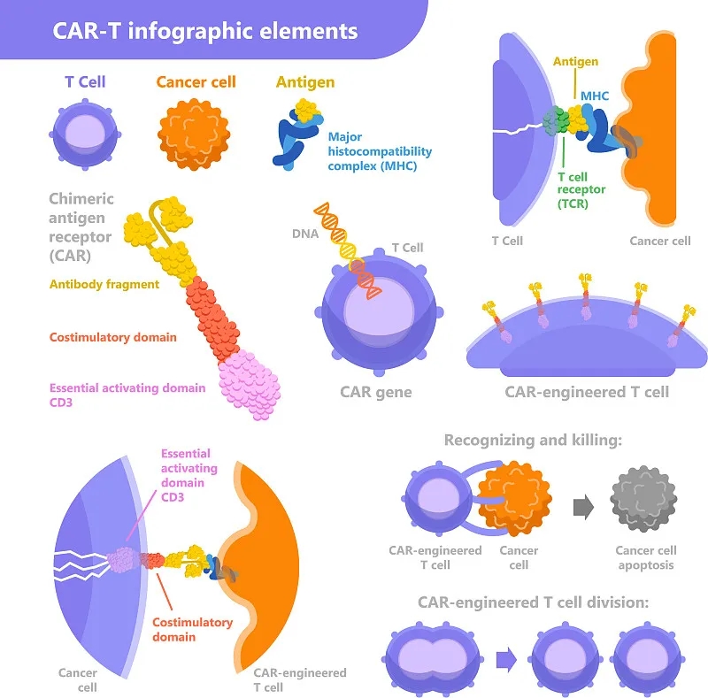 CAR-T細胞公司激增:全球CAR-T公司名單 CAR-T細胞公司激增:全球CAR-T公司名單
