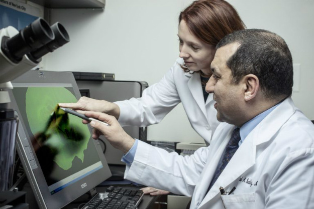 干細胞治療疾病 | 細胞療法是人類(lèi)健康的未來(lái)的原因 干細胞治療疾病 | 細胞療法是人類(lèi)健康的未來(lái)的原因