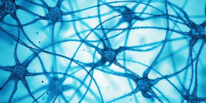 什么是神經(jīng)細胞？為什么它們很重要？