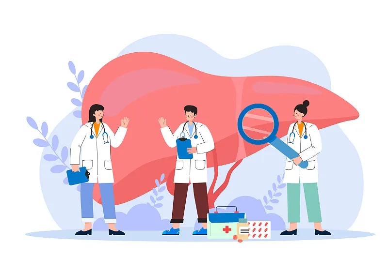 間充質(zhì)干細胞治療肝病的新視角：恢復線(xiàn)粒體功能