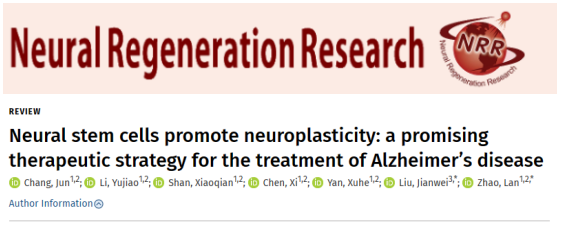 通過(guò)移植神經(jīng)干細胞來(lái)改善阿爾茨海默病小鼠的認知缺陷和海馬突觸的丟失