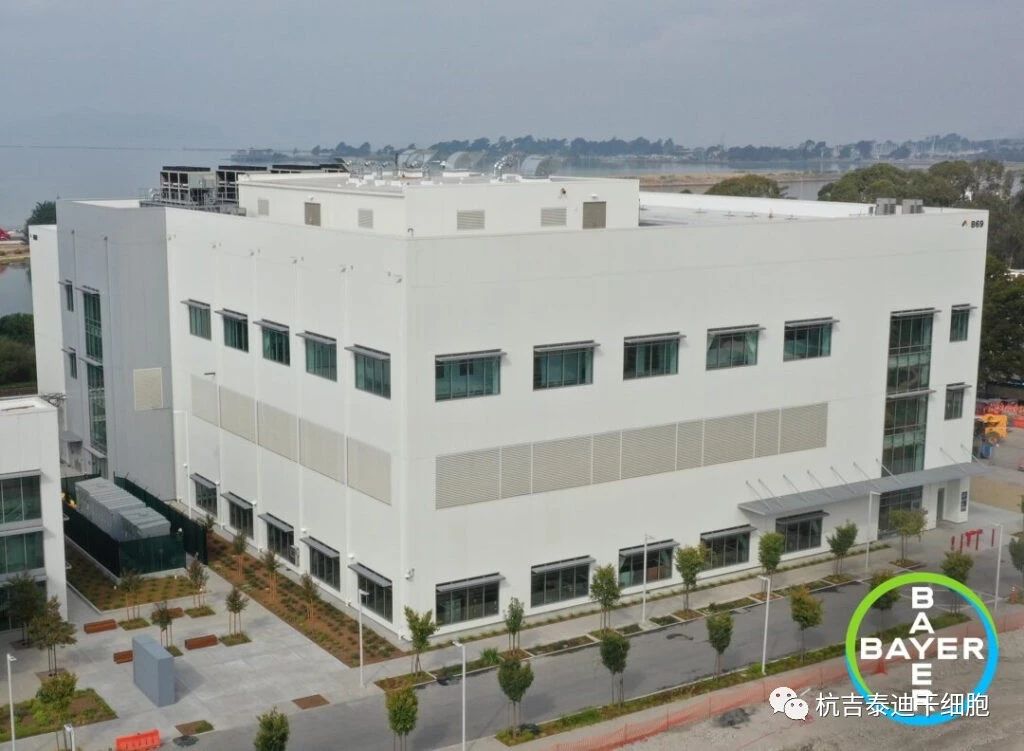 投資2.5億美元！拜耳新建細胞治療工廠(chǎng)，推進(jìn)細胞療法生產(chǎn)！