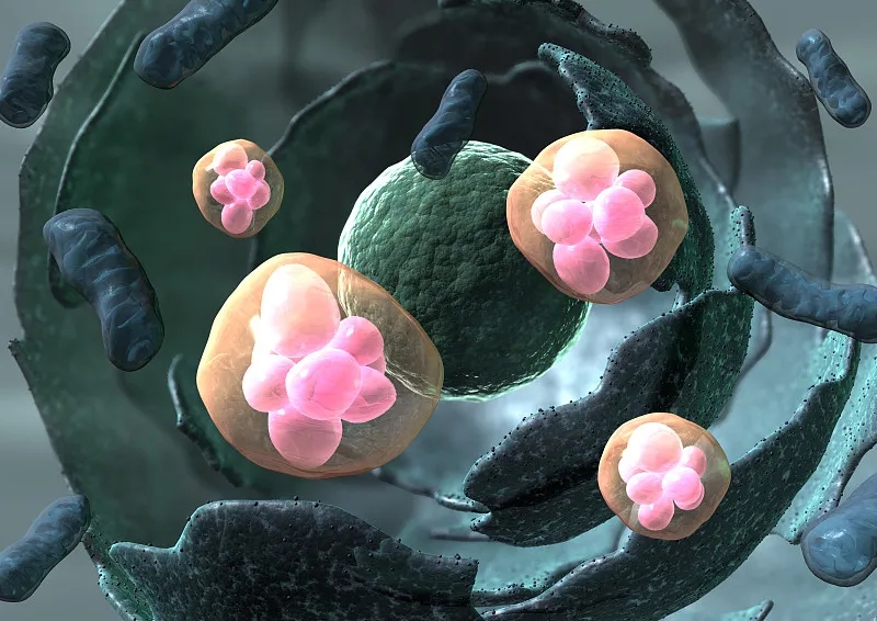 用于治療疾病的干細胞有哪些不同類(lèi)型？