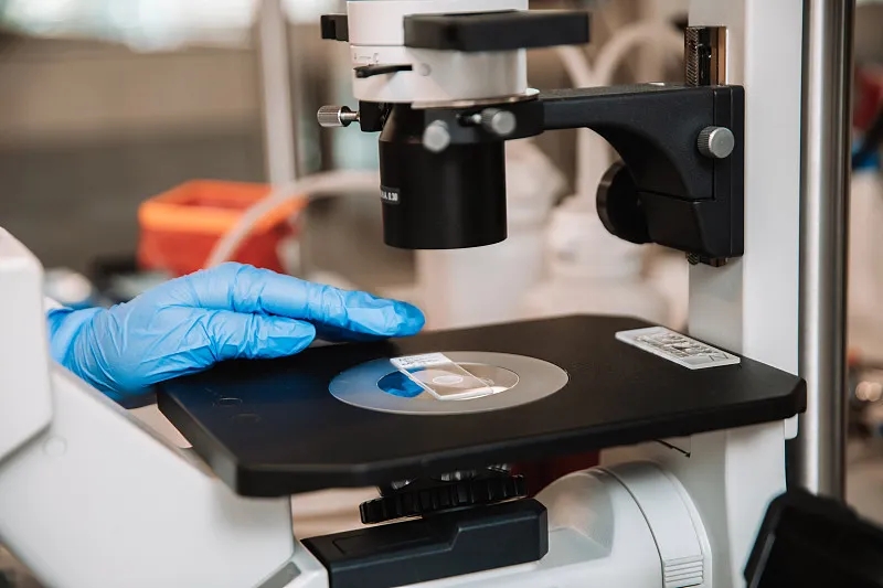 干細胞治療仍有疑慮 ?九大《專(zhuān)家共識》帶你洞悉干細胞的價(jià)值與地位 干細胞治療仍有疑慮 ?九大《專(zhuān)家共識》帶你洞悉干細胞的價(jià)值與地位