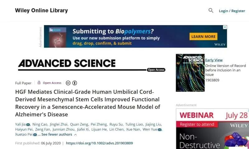 HGF介導臨床級人臍帶間充質(zhì)干細胞改善功能恢復在衰老加速的阿爾茨海默病小鼠模型中