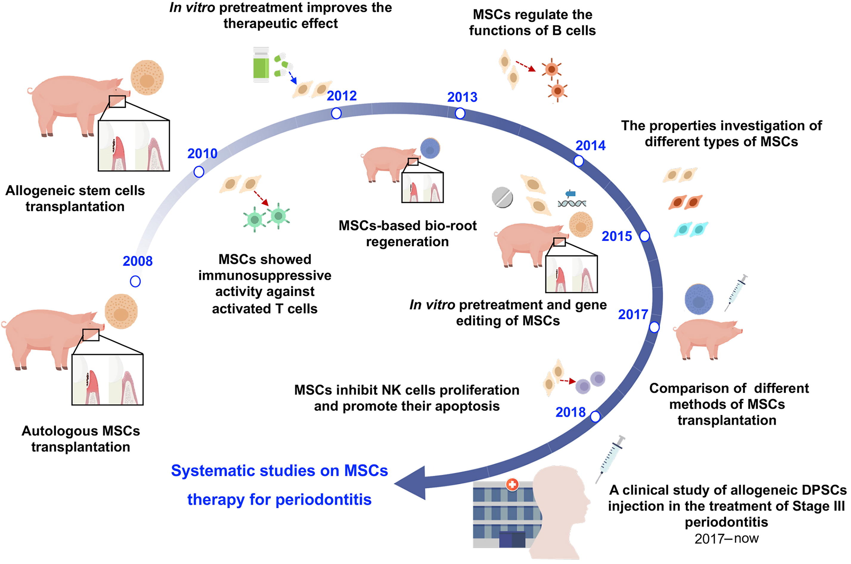 圖1：中國開(kāi)發(fā)治療牙周炎的間充質(zhì)干細胞藥物示意圖