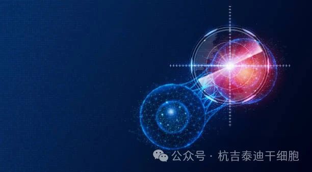 盤(pán)點(diǎn)2023干細胞療法五大突破性進(jìn)展，沖破難治性疾病壁壘