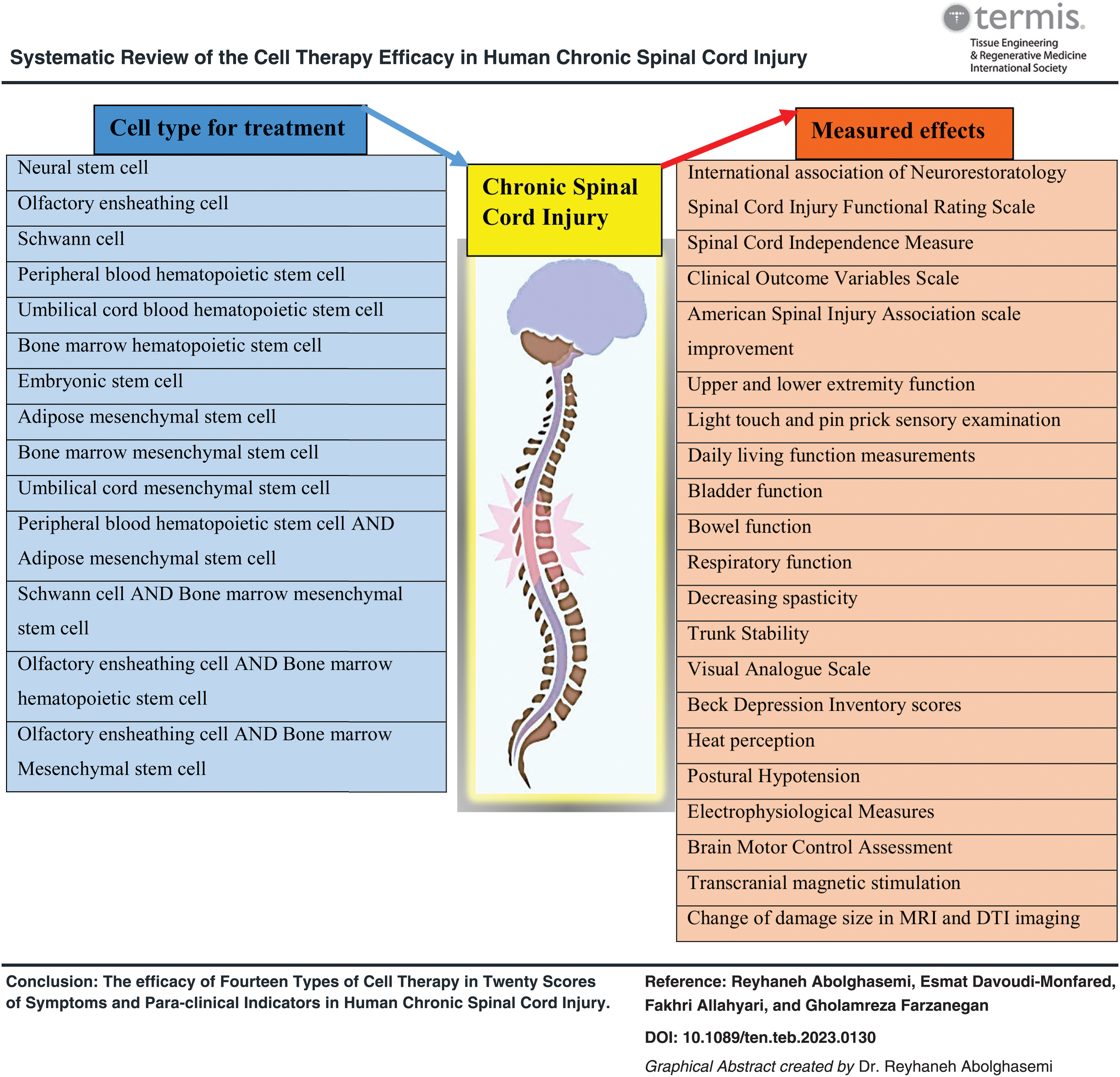 干細胞療法對人類(lèi)慢性脊髓損傷療效的系統性綜述 干細胞療法對人類(lèi)慢性脊髓損傷療效的系統性綜述