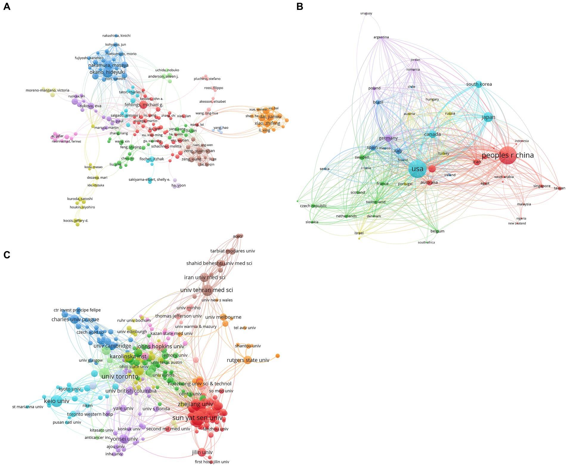 圖4：干細胞治療脊髓損傷研究的合著(zhù)者分析。