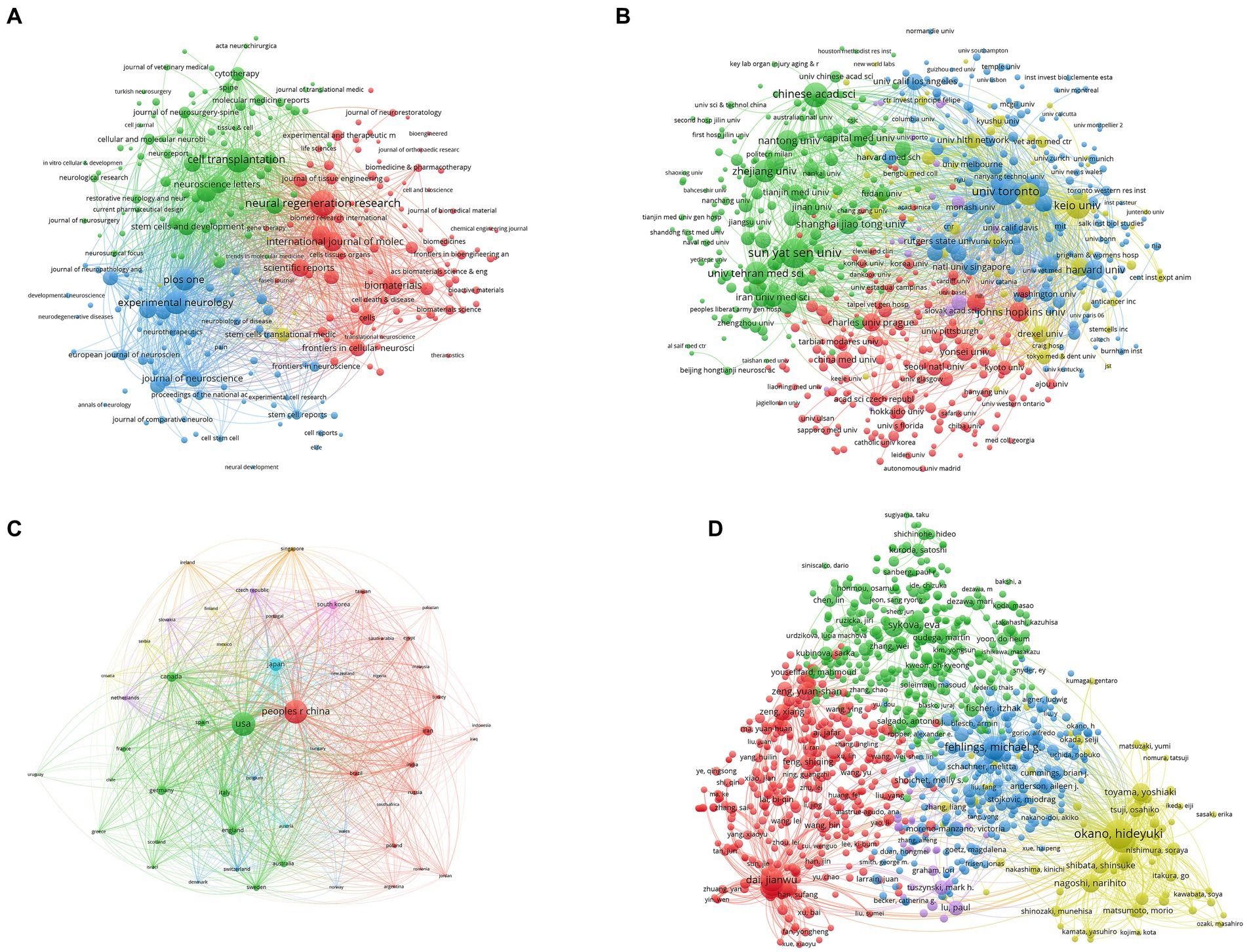 圖5：脊髓損傷研究干細胞療法的文獻耦合分析。