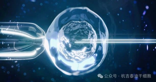 干細胞療法如何減緩肺部疾病的癥狀？