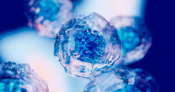 2024年重磅更新：藥監局公布間充質(zhì)干細胞新藥，適應治療的46種疾病名單！