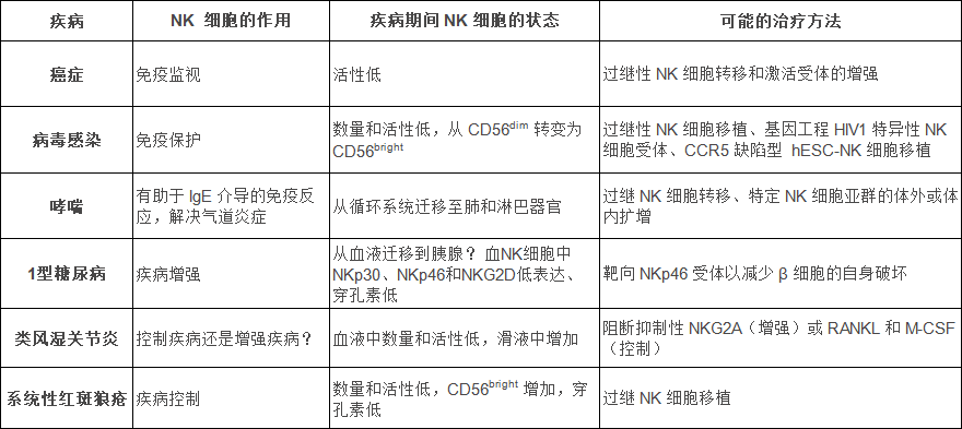 NK細胞：在抗擊不同疾病中發(fā)揮的作用！
