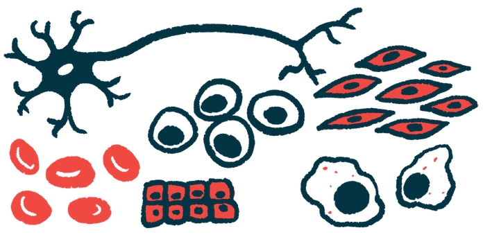 帕金森病今日新聞：胚胎干細胞移植在12名患者中顯示出安全性