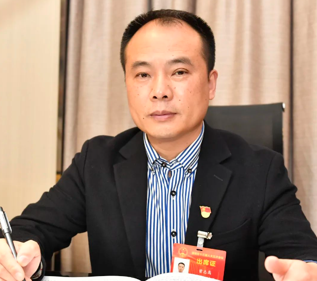 湖南省人大代表曾志高