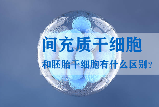間充質(zhì)干細胞和胚胎干細胞有什么區別？