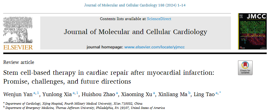 干細胞治療效果不佳？這四招能助你效果大增！