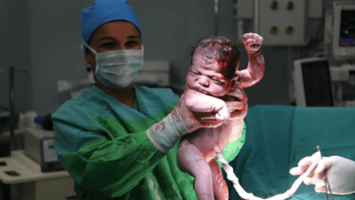 為什么我們選擇不使用胚胎細胞治療自閉癥？