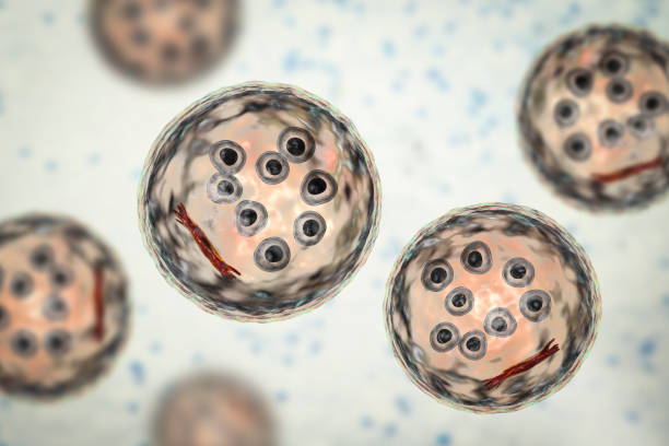 誘導多能干細胞衍生的細胞療法進(jìn)行人體試驗的研究 誘導多能干細胞衍生的細胞療法進(jìn)行人體試驗的研究