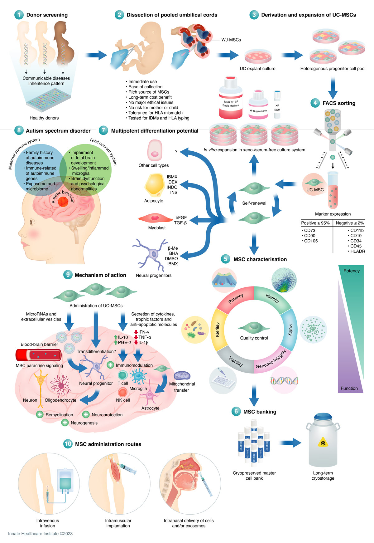 干細胞采集過(guò)程是什么樣的？干細胞如何移植治療自閉癥？