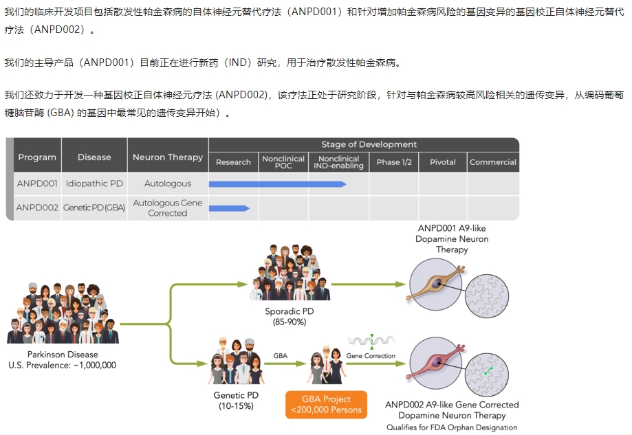 首次移植:細胞療法ANPD001治療帕金森病的試驗完成 首次移植:細胞療法ANPD001治療帕金森病的試驗完成