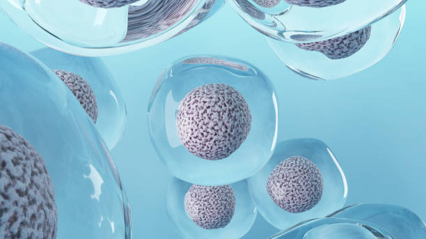 羊膜干細胞療法有效嗎？