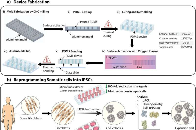 新設備改善了干細胞的生成，為阿爾茨海默氏癥細胞療法提供了機會(huì )