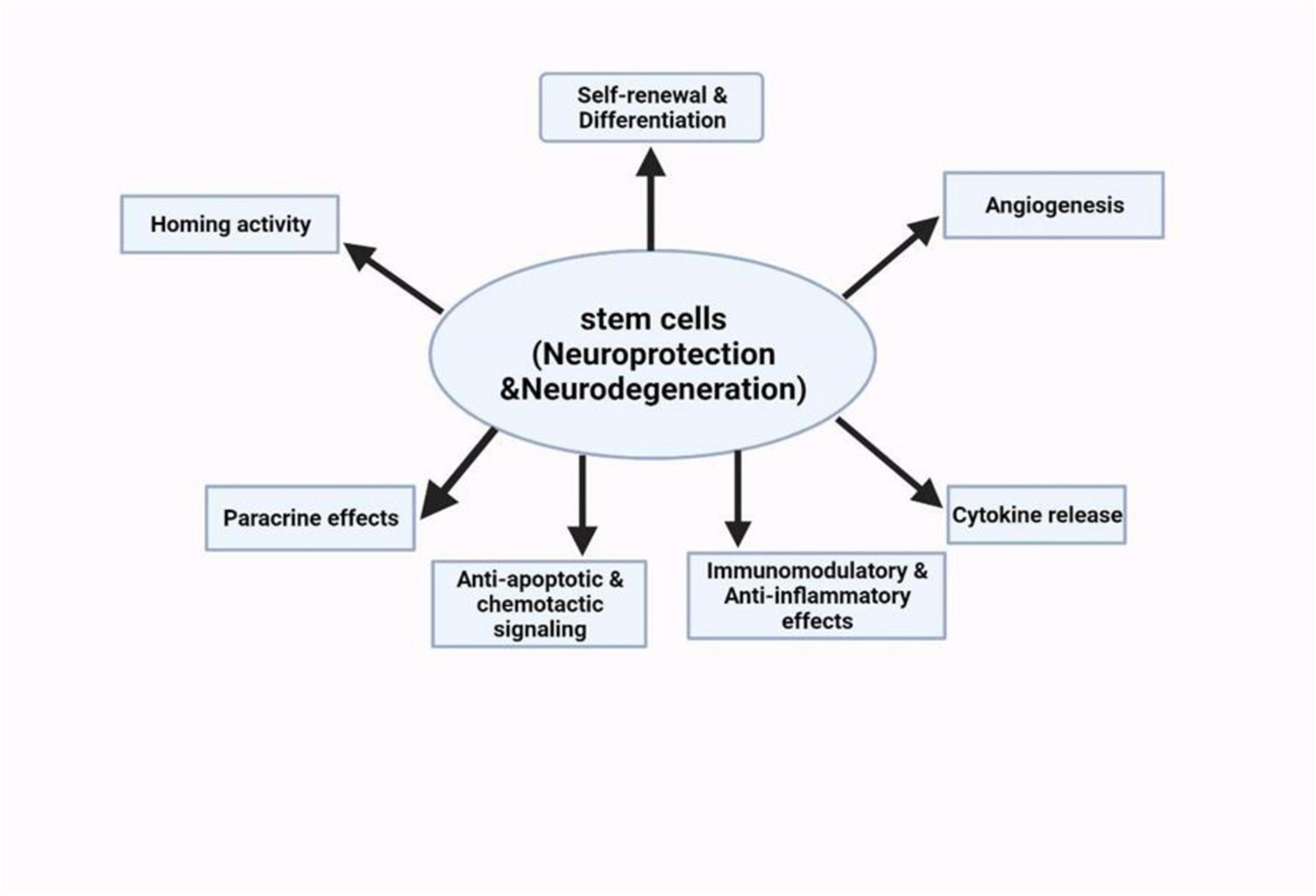 圖5：干細胞療法對神經(jīng)系統疾病的神經(jīng)保護潛力的示意圖