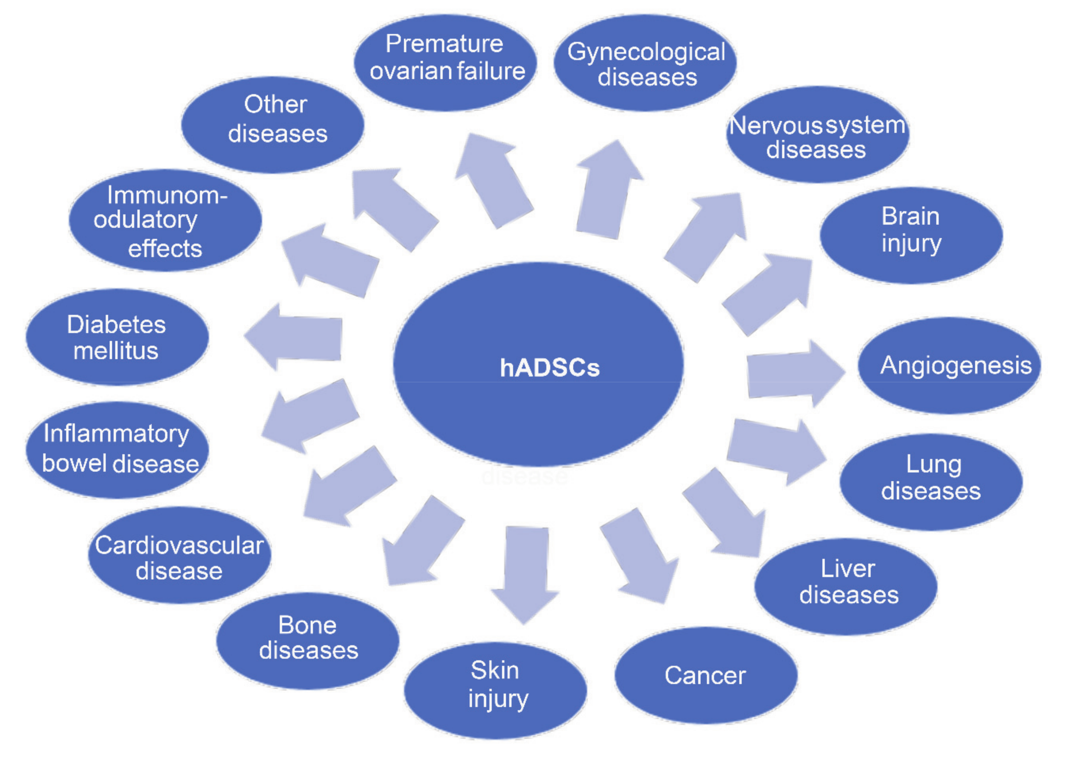 圖3.人羊膜來(lái)源干細胞治療疾病